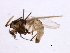  ( - 09PROBE-JW0292)  @13 [ ] CreativeCommons - Attribution (2010) CBG Photography Group Centre for Biodiversity Genomics