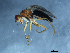  ( - 09PROBE-JW0196)  @12 [ ] CreativeCommons - Attribution (2010) Unspecified Centre for Biodiversity Genomics