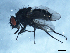  ( - 09PROBE-JW0249)  @13 [ ] CreativeCommons - Attribution (2010) Unspecified Centre for Biodiversity Genomics