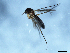  ( - 09PROBE-JW0548)  @12 [ ] CreativeCommons - Attribution (2010) Unspecified Centre for Biodiversity Genomics