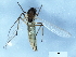  ( - 09PROBE-JW0657)  @13 [ ] CreativeCommons - Attribution (2010) CBG Photography Group Centre for Biodiversity Genomics
