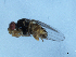  ( - 09PROBE-JW0671)  @12 [ ] CreativeCommons - Attribution (2010) Unspecified Centre for Biodiversity Genomics