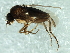  ( - 09PROBE-JW1359)  @13 [ ] CreativeCommons - Attribution (2010) CBG Photography Group Centre for Biodiversity Genomics