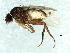 ( - 09PROBE-JW1370)  @13 [ ] CreativeCommons - Attribution (2010) CBG Photography Group Centre for Biodiversity Genomics