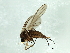  ( - 09PROBE-JW1376)  @12 [ ] CreativeCommons - Attribution (2010) CBG Photography Group Centre for Biodiversity Genomics