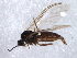  ( - 09PROBE-JW1164)  @12 [ ] CreativeCommons - Attribution (2010) CBG Photography Group Centre for Biodiversity Genomics