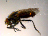  ( - 10PROBE-07537)  @12 [ ] CreativeCommons - Attribution (2011) CBG Photography Group Centre for Biodiversity Genomics