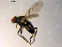  ( - 10PROBE-07546)  @13 [ ] CreativeCommons - Attribution (2011) CBG Photography Group Centre for Biodiversity Genomics