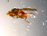  ( - 10PROBE-08867)  @13 [ ] CreativeCommons - Attribution (2011) CBG Photography Group Centre for Biodiversity Genomics