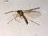  ( - 10PROBE-08890)  @12 [ ] CreativeCommons - Attribution (2011) CBG Photography Group Centre for Biodiversity Genomics
