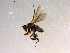  ( - 10PROBE-08925)  @12 [ ] CreativeCommons - Attribution (2011) CBG Photography Group Centre for Biodiversity Genomics