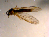  ( - 10PROBE-08939)  @12 [ ] CreativeCommons - Attribution (2011) CBG Photography Group Centre for Biodiversity Genomics