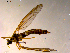  ( - 10PROBE-08940)  @12 [ ] CreativeCommons - Attribution (2011) CBG Photography Group Centre for Biodiversity Genomics