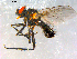  ( - 10PROBE-08941)  @14 [ ] CreativeCommons - Attribution (2011) CBG Photography Group Centre for Biodiversity Genomics