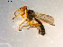  ( - 10PROBE-09733)  @12 [ ] CreativeCommons - Attribution (2011) CBG Photography Group Centre for Biodiversity Genomics
