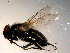  ( - 10PROBE-09863)  @13 [ ] CreativeCommons - Attribution (2011) CBG Photography Group Centre for Biodiversity Genomics