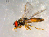  ( - 10PROBE-09887)  @13 [ ] CreativeCommons - Attribution (2011) CBG Photography Group Centre for Biodiversity Genomics