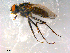  ( - 10PROBE-09924)  @13 [ ] CreativeCommons - Attribution (2011) CBG Photography Group Centre for Biodiversity Genomics