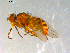  ( - 10PROBE-09991)  @12 [ ] CreativeCommons - Attribution (2011) CBG Photography Group Centre for Biodiversity Genomics