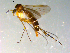  ( - 10PROBE-10020)  @13 [ ] CreativeCommons - Attribution (2011) CBG Photography Group Centre for Biodiversity Genomics