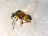  ( - 10PROBE-10094)  @13 [ ] CreativeCommons - Attribution (2011) CBG Photography Group Centre for Biodiversity Genomics