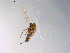  ( - 10PROBE-10167)  @12 [ ] CreativeCommons - Attribution (2011) CBG Photography Group Centre for Biodiversity Genomics