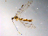  ( - 10PROBE-10230)  @13 [ ] CreativeCommons - Attribution (2011) CBG Photography Group Centre for Biodiversity Genomics