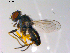  ( - 10PROBE-10238)  @13 [ ] CreativeCommons - Attribution (2011) CBG Photography Group Centre for Biodiversity Genomics