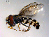  ( - 10PROBE-10249)  @13 [ ] CreativeCommons - Attribution (2011) CBG Photography Group Centre for Biodiversity Genomics