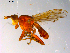  ( - 10PROBE-10278)  @12 [ ] CreativeCommons - Attribution (2011) CBG Photography Group Centre for Biodiversity Genomics