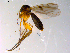  ( - 10PROBE-10308)  @11 [ ] CreativeCommons - Attribution (2011) CBG Photography Group Centre for Biodiversity Genomics