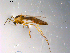  ( - 10PROBE-10319)  @13 [ ] CreativeCommons - Attribution (2011) CBG Photography Group Centre for Biodiversity Genomics