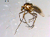  ( - 10PROBE-10324)  @12 [ ] CreativeCommons - Attribution (2011) CBG Photography Group Centre for Biodiversity Genomics