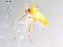  ( - 10PROBE-10325)  @12 [ ] CreativeCommons - Attribution (2011) CBG Photography Group Centre for Biodiversity Genomics