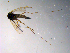  ( - 10PROBE-10426)  @13 [ ] CreativeCommons - Attribution (2011) CBG Photography Group Centre for Biodiversity Genomics