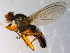  ( - 10PROBE-10496)  @14 [ ] CreativeCommons - Attribution (2011) CBG Photography Group Centre for Biodiversity Genomics