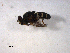  ( - 10PROBE-10728)  @12 [ ] CreativeCommons - Attribution (2011) CBG Photography Group Centre for Biodiversity Genomics