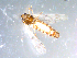  ( - 10PROBE-10734)  @12 [ ] CreativeCommons - Attribution (2011) CBG Photography Group Centre for Biodiversity Genomics