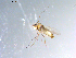  ( - 10PROBE-10832)  @12 [ ] CreativeCommons - Attribution (2011) CBG Photography Group Centre for Biodiversity Genomics