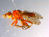  ( - 10PROBE-10903)  @13 [ ] CreativeCommons - Attribution (2011) CBG Photography Group Centre for Biodiversity Genomics