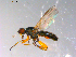  ( - 10PROBE-10913)  @13 [ ] CreativeCommons - Attribution (2011) CBG Photography Group Centre for Biodiversity Genomics