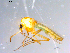  ( - 10PROBE-10959)  @13 [ ] CreativeCommons - Attribution (2011) CBG Photography Group Centre for Biodiversity Genomics