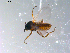  ( - 10PROBE-11071)  @12 [ ] CreativeCommons - Attribution (2011) CBG Photography Group Centre for Biodiversity Genomics