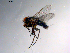  ( - 10PROBE-11174)  @13 [ ] CreativeCommons - Attribution (2011) CBG Photography Group Centre for Biodiversity Genomics