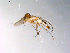  ( - 10PROBE-11190)  @12 [ ] CreativeCommons - Attribution (2011) CBG Photography Group Centre for Biodiversity Genomics