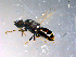  ( - 10PROBE-11543)  @12 [ ] CreativeCommons - Attribution (2011) CBG Photography Group Centre for Biodiversity Genomics