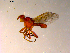  ( - 10PROBE-11699)  @12 [ ] CreativeCommons - Attribution (2011) CBG Photography Group Centre for Biodiversity Genomics