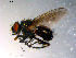  ( - 10PROBE-11743)  @13 [ ] CreativeCommons - Attribution (2011) CBG Photography Group Centre for Biodiversity Genomics