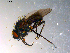  ( - 10PROBE-11744)  @13 [ ] CreativeCommons - Attribution (2011) CBG Photography Group Centre for Biodiversity Genomics
