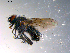  ( - 10PROBE-11821)  @12 [ ] CreativeCommons - Attribution (2011) CBG Photography Group Centre for Biodiversity Genomics